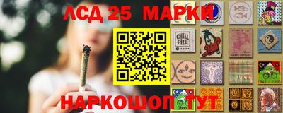 шишки Ставрополь