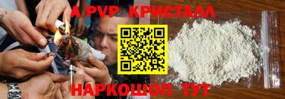 шишки Ставрополь