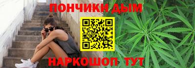 шишки Ставрополь