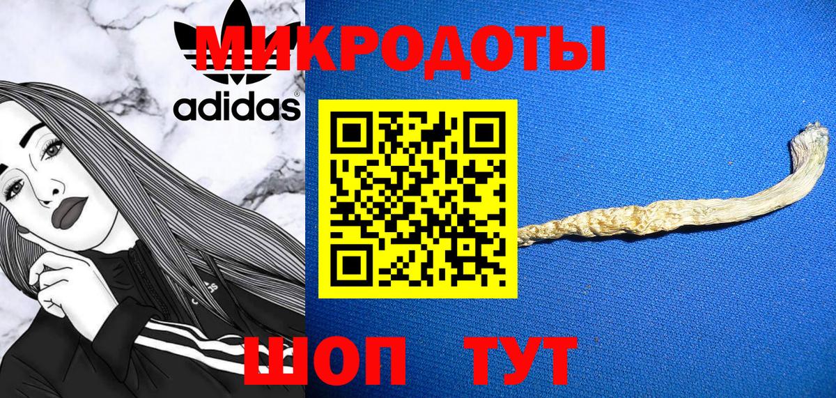 Галлюциногенные грибы GOLDEN TEACHER  где купить наркотик  Майкоп  Вход с VPN 